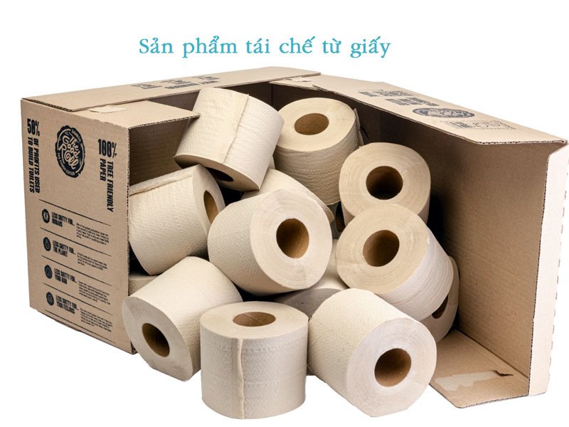 Giấy vệ sinh - Sản phẩm tái chế từ giấy đã qua sử dụng