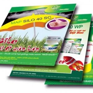 In poster hiệu quả
